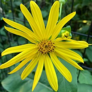 Meet your Posher, Kudakwashe